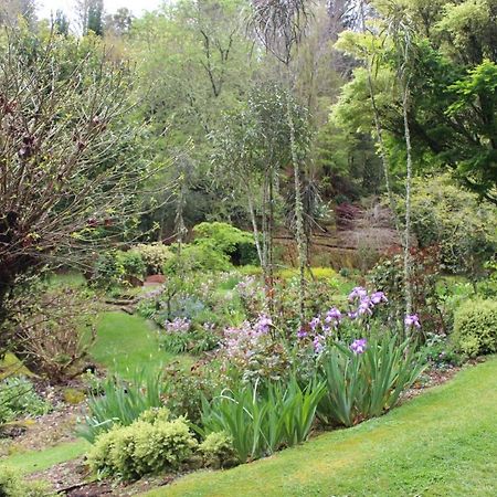 Aramatai Gardens Bed & Breakfast Te Kuiti Exterior photo